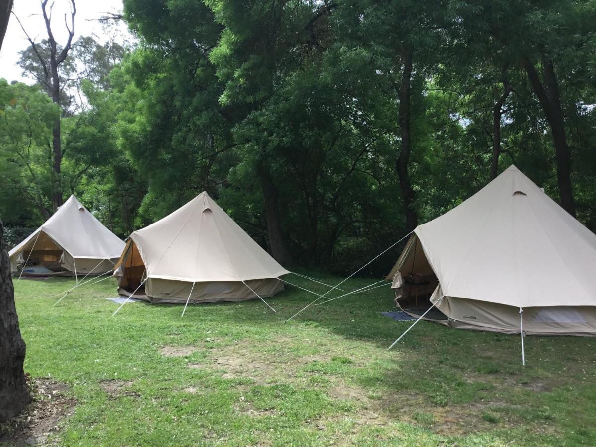Belair National Park Holiday Park Екстер'єр фото