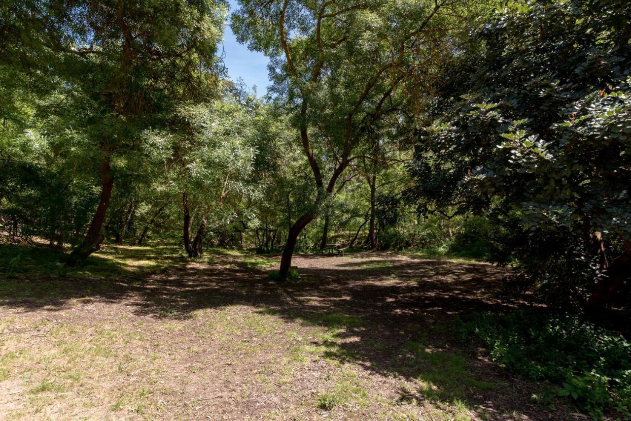 Belair National Park Holiday Park Екстер'єр фото